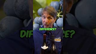 Syrah and Petite Sirah are NOT the Same Grape [upl. by Nal]