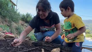 Sembrando nuestras hortalizas con las riquezas de nuestro bosque [upl. by Devy]