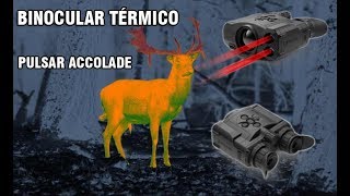 Review del binocular térmico Pulsar Accolade y Accolade LRF [upl. by Nhguahs]