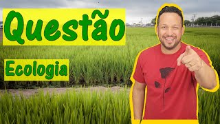 Ecologia  Questão  Cadeia Alimentar ou Trófica  Níveis Tróficos  Fatores Bióticos [upl. by Edasalof]