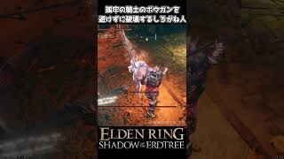 【エルデンリング DLC】孤牢の騎士の攻撃を一切避けずに倒す方法 eldenring shadowoftheerdtree [upl. by Pentha351]