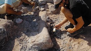 Go on a Dinosaur Dig in Utahs Emery County [upl. by Gerdy254]