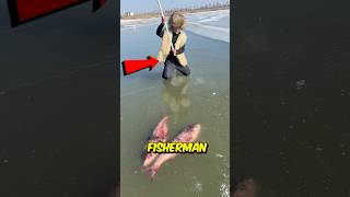 This boy found frozen fish in the ice 😨 [upl. by Rouvin]