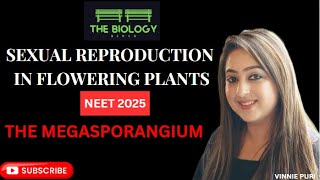 Megasporangium I Sexual Reproduction in Flowering Plants Class 12 Biology I cbseboard neet 2025 [upl. by Anirbed]