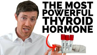 6 Causes of Low T3 Every Thyroid Patient Should Be Aware Of [upl. by Mona]