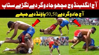 Macho Jutt Best Stops Today In England Kabaddi Cup 2024 [upl. by Cornia]