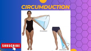 Circumduction anatomy [upl. by Schlosser]