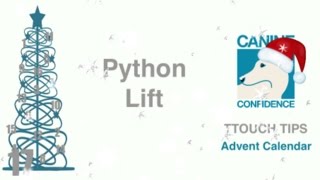 Python Lift TTouch Tips Advent Calendar Day 17 [upl. by Fredelia]