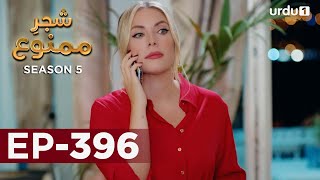 ShajareMamnu  Episode 396  Turkish Drama  Forbidden Fruit  Urdu Dubbing  16 June 2022 [upl. by Adimra]