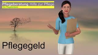 Pflegegeld [upl. by Viglione]