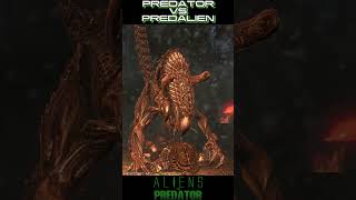 PREDATOS VS PREDALIEN shorts aliensvspredator games [upl. by Gerg187]