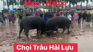 Cùng Xem Lại Trận Đấu C1 Liên Tỉnh Giữa Béo Naloc Và Mặt Quỷ Đồ Sơn [upl. by Idnac]