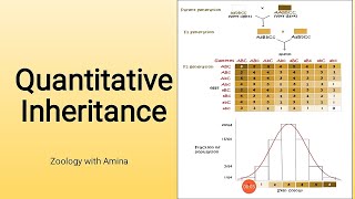 Quantitative inheritance and polygenes  Continuous and discontinuous variations [upl. by China]