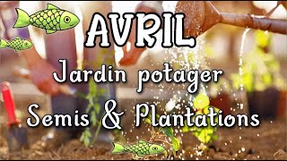 🐟 AVRIL Permaculture amp Jardin potager 🌱 Semis amp Plantation Terreau de compost maison Etc [upl. by Enieledam]