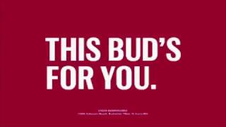 Budweiser Commercial 2016 Holiday Greetings [upl. by Ttelrahc]