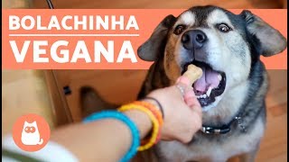 Biscoito para cachorros FÁCIL com 3 ingredientes veganos [upl. by Swerdna]