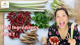 Thai Ingredients Part 1  Galangal  Lemongrass  Finger Root [upl. by Mercorr]