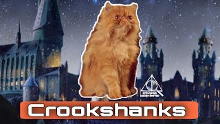 Crookshanks and the War  Harry Potter Theory [upl. by Yr]