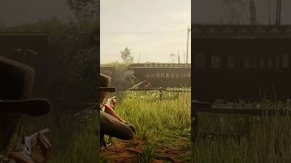 Killing Lemoyne raiders reddeadredemtion2 rdr2 gaming [upl. by Amikat744]