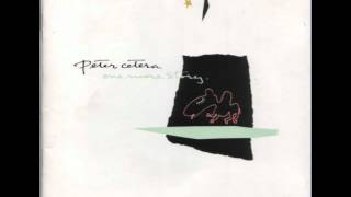 PETER CETERA  BEST OF TIMES [upl. by Filahk]