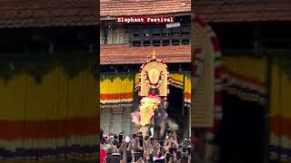 The Most Extravagant Festival on Earth ytshorts kerla elephantfestival tourism music travel [upl. by Culhert]