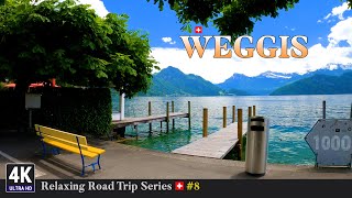 Relaxing Road Trip Series in Switzerland 🇨🇭 Ep8  Scenic City Drive From Lucerne To Weggis Luzern [upl. by Yriek]