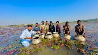 How to Harvesting Water Chestnuts  Singhara fields in Pakistan  Water nut Winter Food [upl. by Nnayr]