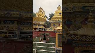 Swayambhunath automobile viralvideo youtubeshorts tiger [upl. by Graehme]