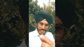 Song mile na phool to kanton se dosti kar li youtube short video ytshorts Mohammed Rafi [upl. by Siuqram797]