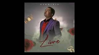 Hermínio  Livre Oficial Music Álbum Romântico [upl. by Selle208]