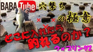 BABATube穴撃ち！どこに入れたら釣れるのか？穴の極意！ [upl. by Fagan]