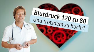 Blutdruck 120 zu 80  Und trotzdem zu hoch [upl. by Aleak]