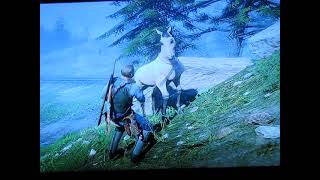 Catching an Appaloosa in RDR2 [upl. by Shimberg399]