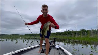 Mattawoman Creek Bass Fishing [upl. by Bokaj]