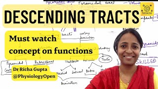 Descending pathways physiology  Pyramidal and extrapyramidal tracts  CNS Physiology mbbs 1st year [upl. by Relyc]