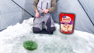 0 Degree Ice Fishing for Big Cutthroat Trout with Shrimp [upl. by Poirer]