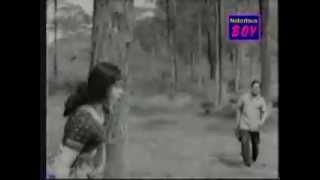 Vellichilankayaninjumkondoru Pennu Kaattuthulasi 1965 [upl. by Dirfliw]