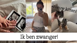 Wij verwachten een tweede kindje🩵  VLOG [upl. by Inobe]