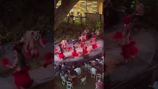 Tahitian Dancers At Luau In Waikiki Hawaii ￼ [upl. by Ahsinroc]