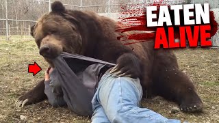 This Forest Tour Guide Gets EATEN ALIVE By Massive Grizzly Bear [upl. by Eicyak341]