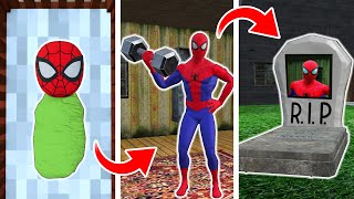 from BIRTH to DEATH  SpiderMans Life  funny horror animation p12 [upl. by Nalyac]