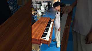 A costeffective electric piano [upl. by Moreen]