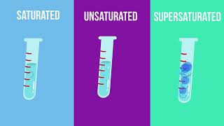 Saturated  Unsaturated and Supersaturated Solutions What is the difference [upl. by Akieluz]