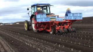 ビート移植機 ２畦 ＣＴ－２ Sugar beet transplanter 2rows type [upl. by Ahsirpac]