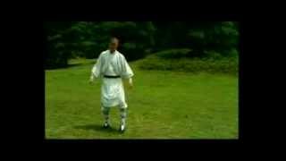 少林羅漢拳 Shaolin Arhat Fist [upl. by Nnylrefinnej]