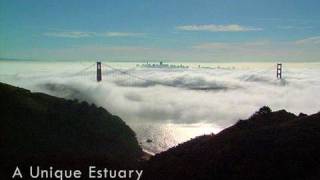 Saving the Bay  San Francisco Bay A Unique Estuary [upl. by Lerat]