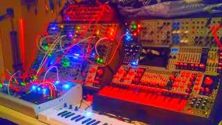 Drifty  Eurorack Modular Synthesizer  Microcosm Poly Digit Rene V2 Mangrove [upl. by Ettevets]