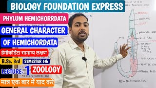 General characters of hemichordata in Hindigeneral character of hemichordatesjh sir classes [upl. by Iteerp155]