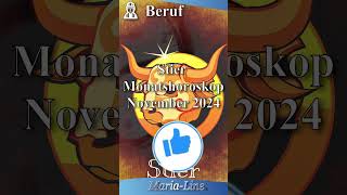 Stier BERUF 👷‍♀️ Horoskop November 2024 [upl. by Asilahs]