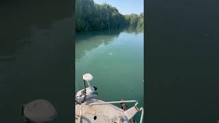 Tarpon on Fly in the Territory tarpon flyfishing fishing islandhopping [upl. by Mcfarland]